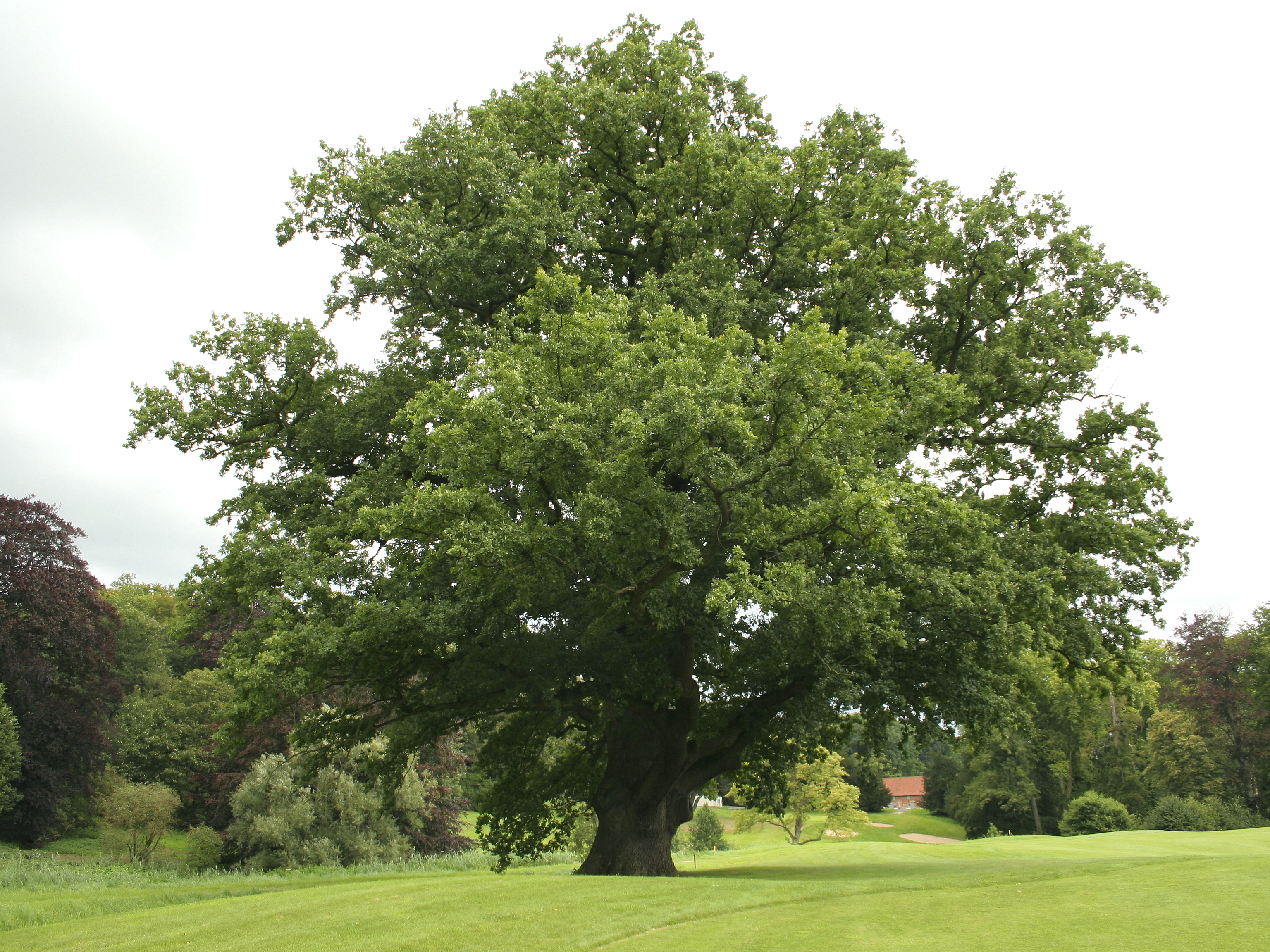 Questionnaires Nature